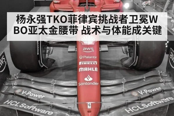 杨永强TKO菲律宾挑战者卫冕WBO亚太金腰带 战术与体能成关键