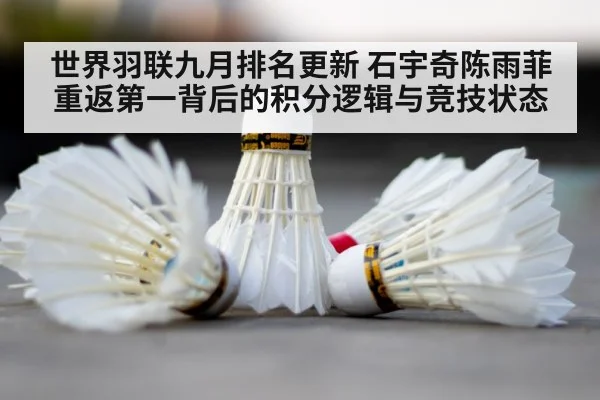 badminton shuttlecock court